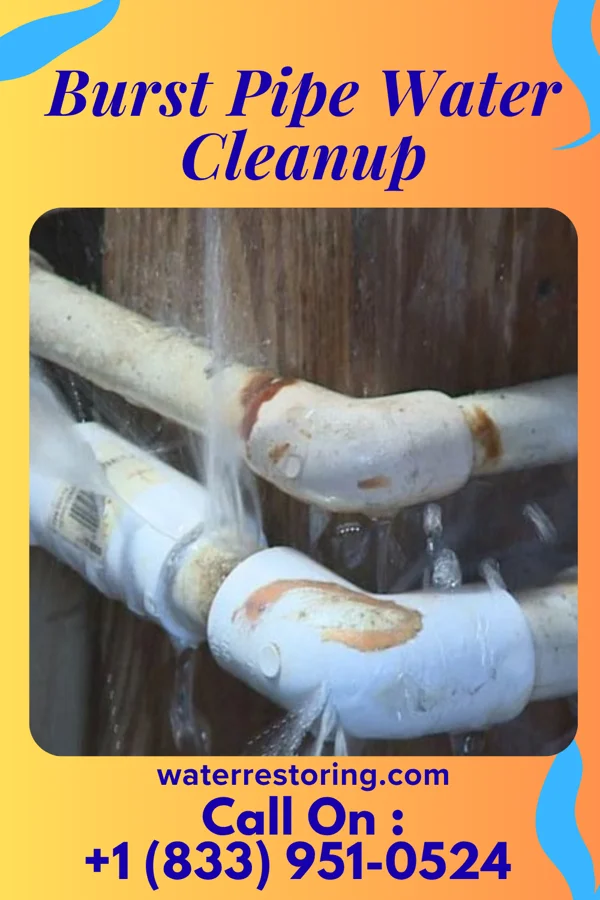 Burst Pipe Water Cleanup in Gibsonburg, OH