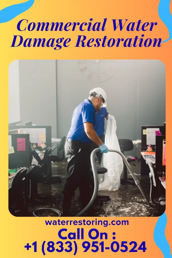 Commercial Water Damage Restoration in Gibsonburg, OH
