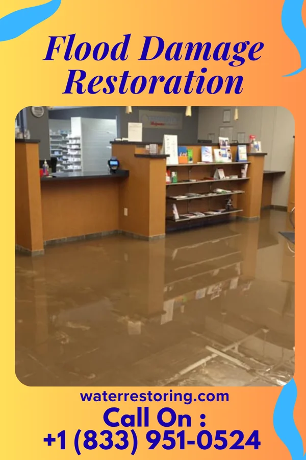 Flood Damage Restoration in Gibsonburg, OH