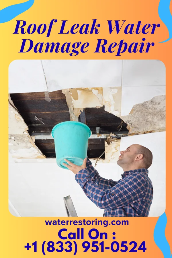 Roof Leak Water Damage Repair in Gibsonburg, OH