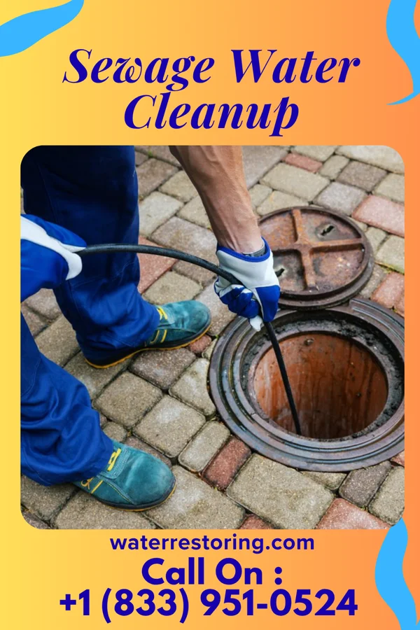 Sewage Water Cleanup in Gibsonburg, OH