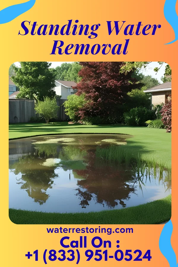 Standing Water Removal in Gibsonburg, OH